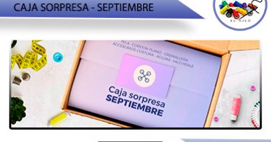 Caja sorpresa de costura de Septiembre – 12lineas.es